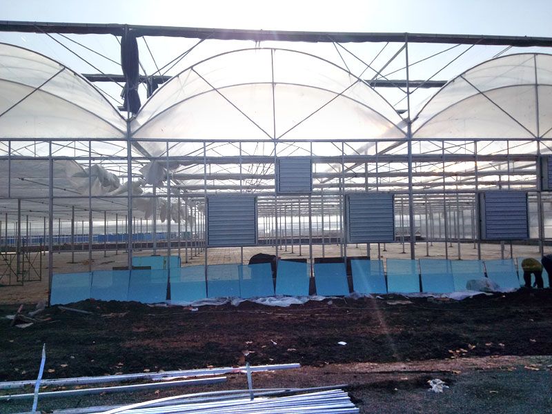 ��(n��i)�ɹŰ͏��נ��B���p������