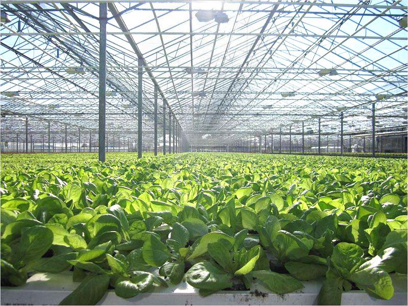 ���������c���鿴Ԕ����Ϣ