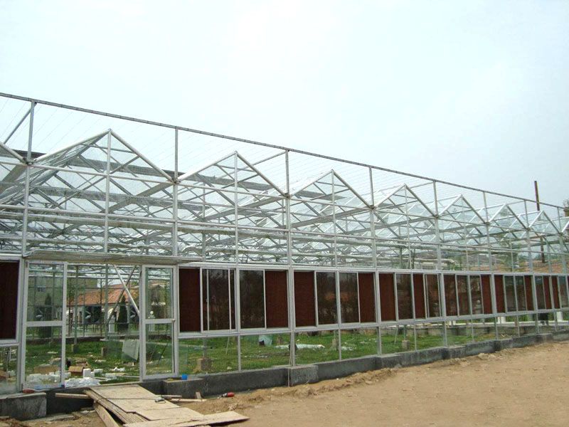 ���������c���鿴Ԕ����Ϣ