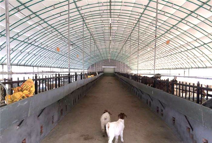 �����I���Ҵ����c���鿴Ԕ����Ϣ