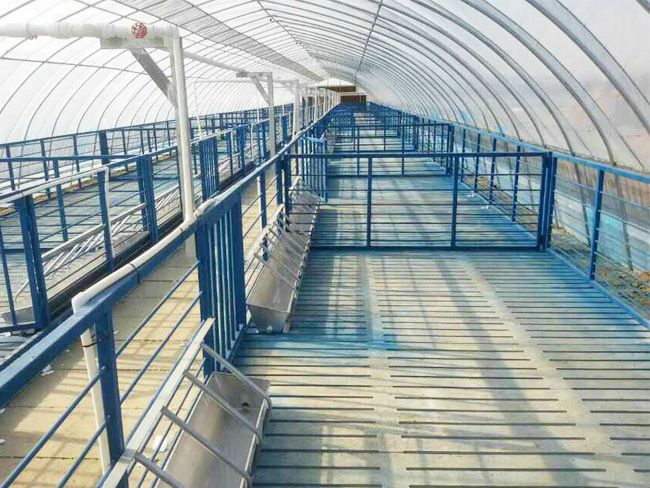 �Bֳ�����c���鿴Ԕ����Ϣ