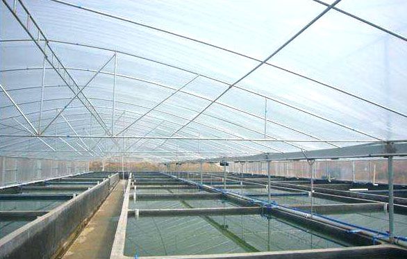 ���͜ؿ�ˮ�a�Bֳ�����c���鿴Ԕ����Ϣ