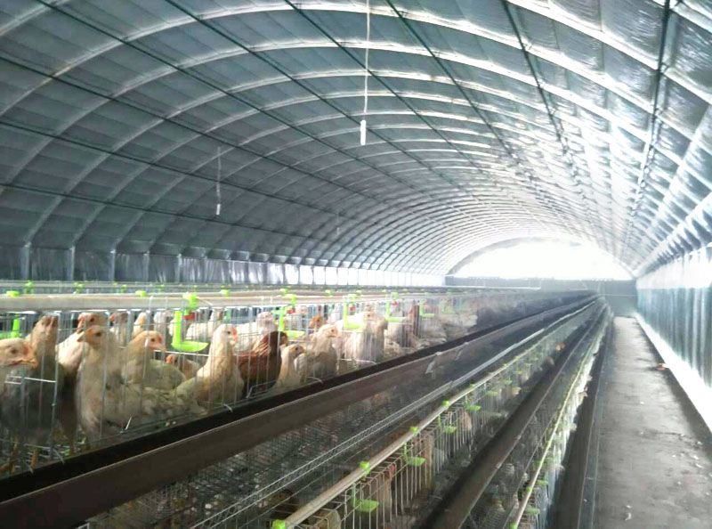 �Bֳ�����c���鿴Ԕ����Ϣ