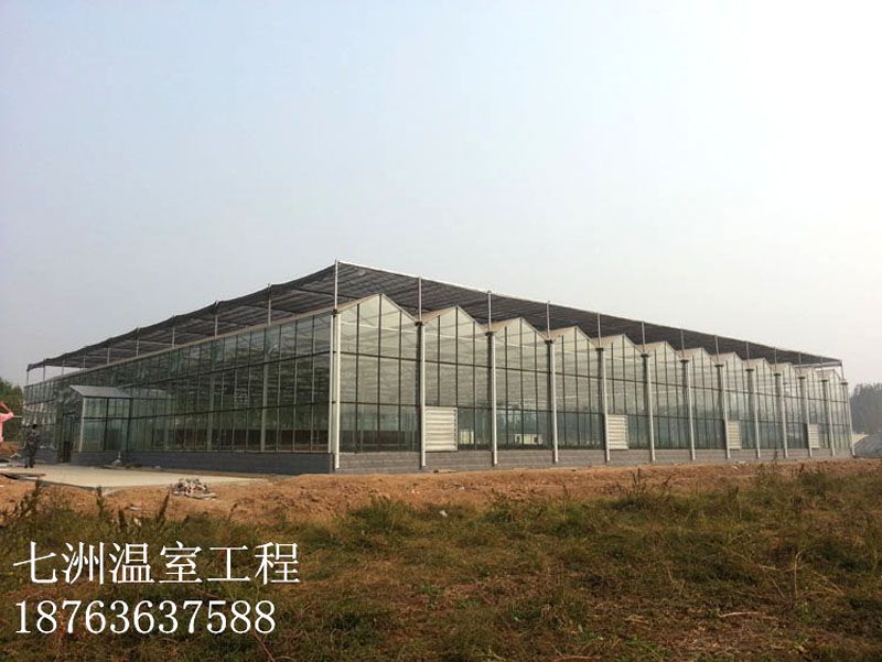 ���������c���鿴Ԕ����Ϣ