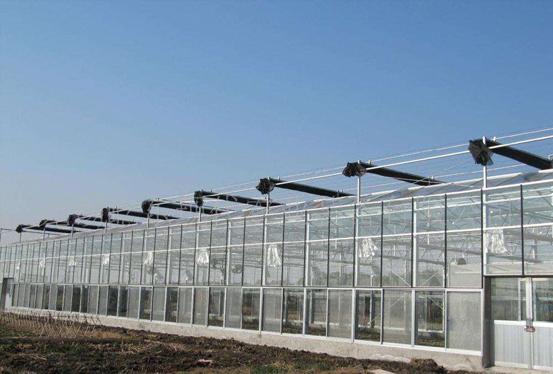 ���������c���鿴Ԕ����Ϣ