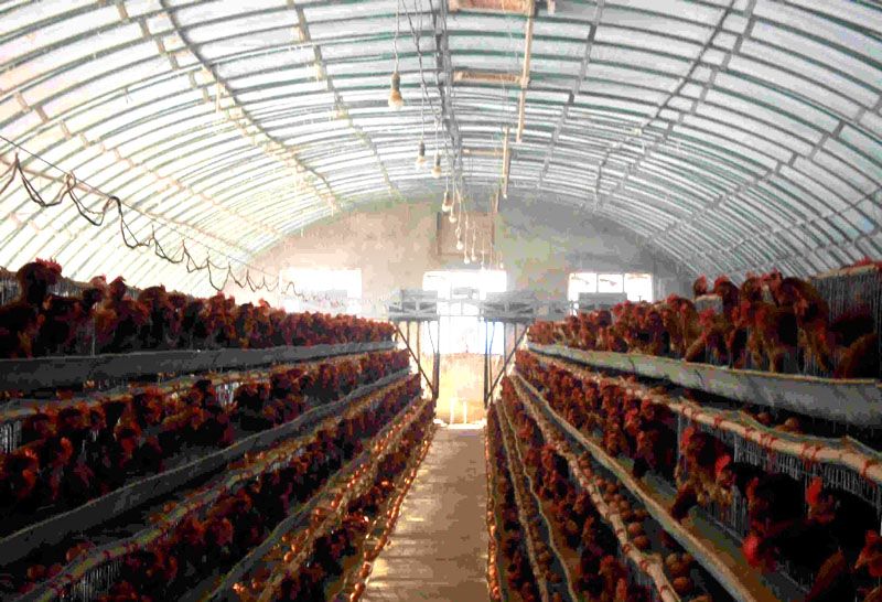 �Bֳ�����c���鿴Ԕ����Ϣ