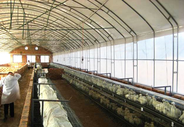 �Bֳ�����c���鿴Ԕ����Ϣ