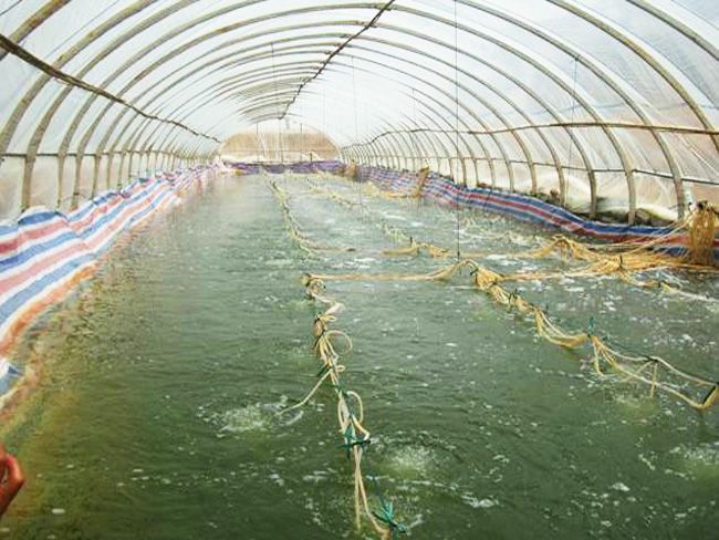 ���͜ؿ�ˮ�a�Bֳ�����c���鿴Ԕ����Ϣ